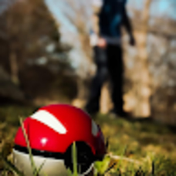 Meet your Posher, Jesse - Picture 1 of 1